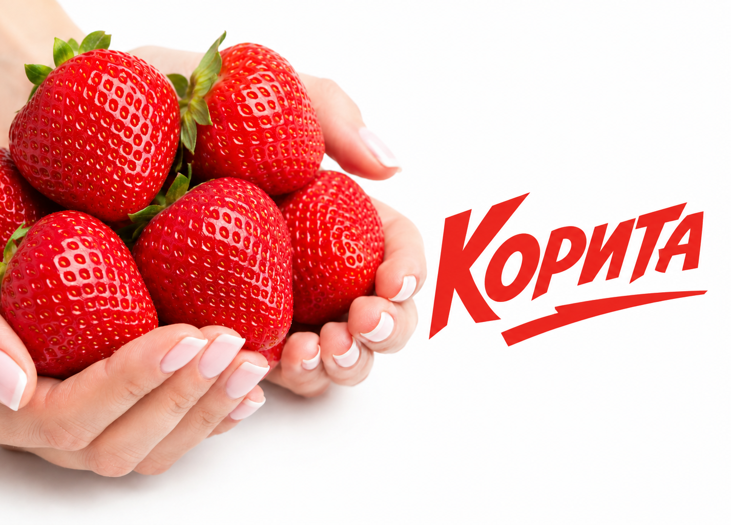 Коррита самый поздний сорт клубники, созревает на 7 дней раньше чем Мальвина. Очень вкусные и очень крупные ягоды.