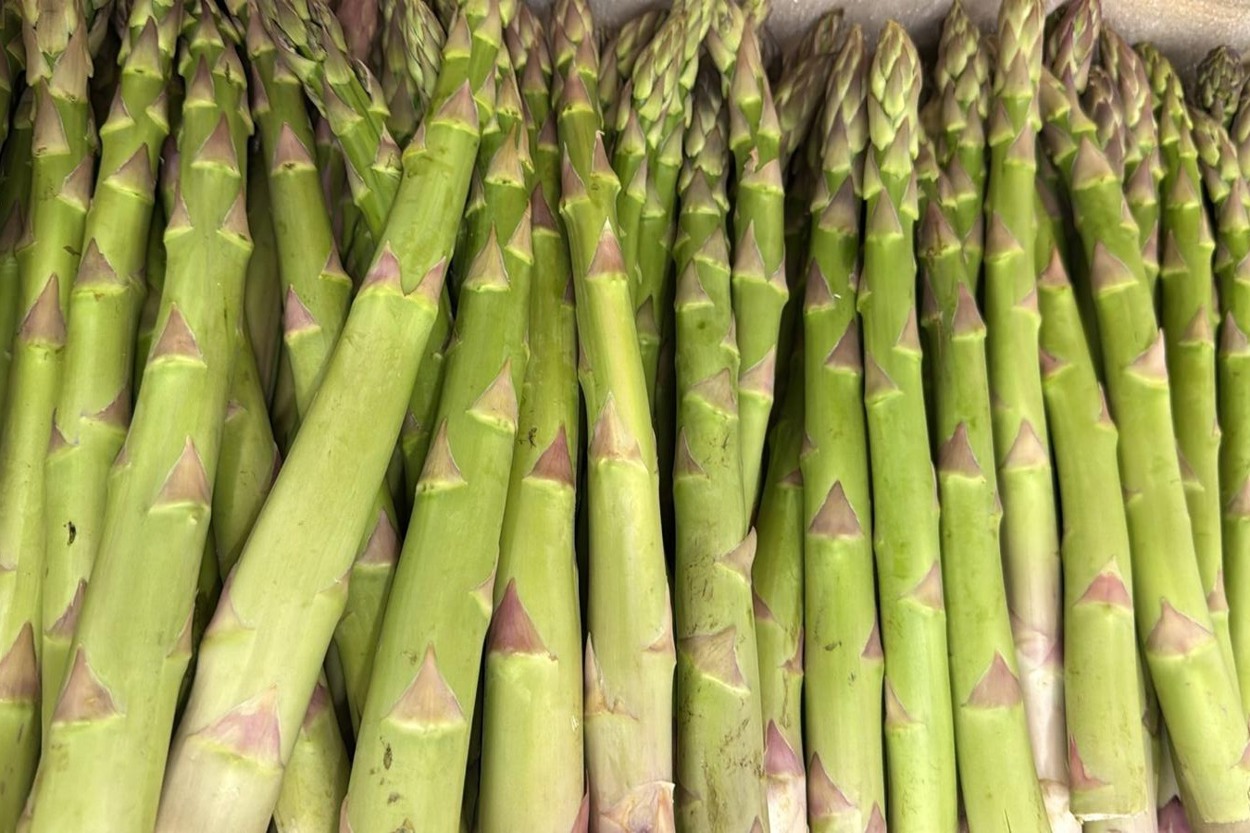 Аржентельская спаржа – это проверенный временем французский сорт, который ценят за нежный вкус и стабильный урожай. Отличается высокими, крепкими побегами и подходит как для выращивания в открытом грунте, так и в теплицах.